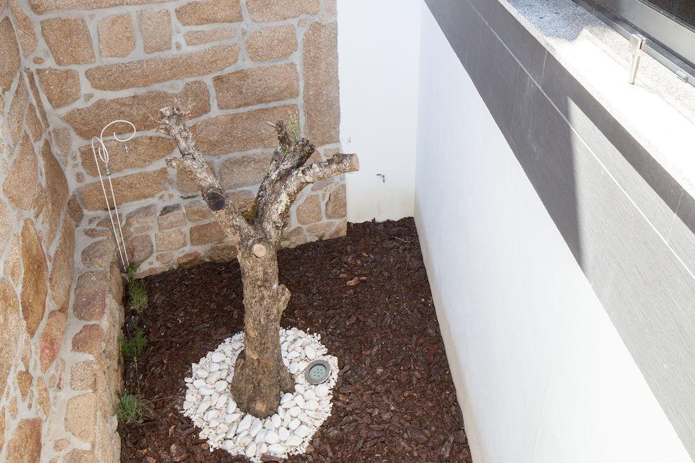 Casas Do Patio Country Houses & Nature Caldas da Felgueira Zewnętrze zdjęcie